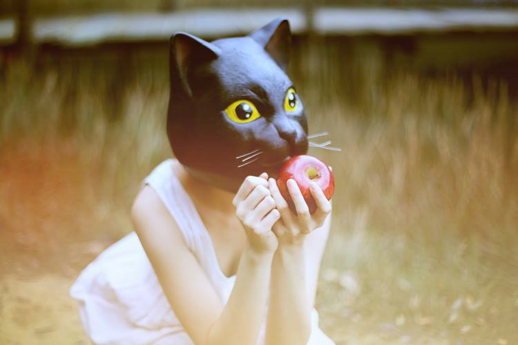 http://i.dcview.tw/gallery/201403/1dd090f659d1a0fa912260f19c1229f9.jpg