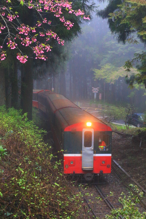 http://i.dcview.tw/gallery/201403/1ea9d2722484d5829644d5ed625ee78a.jpg
