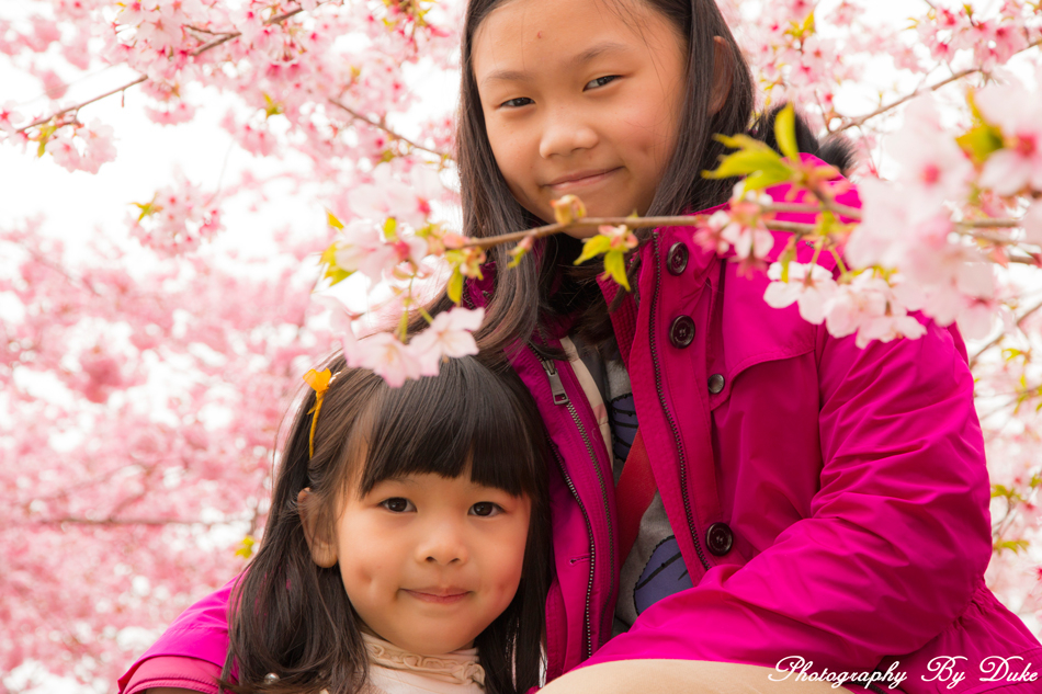 http://i.dcview.tw/gallery/201403/23003dc9480bc8f1825873edef56a67f.jpg