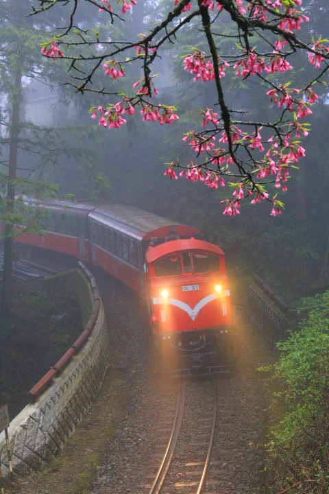 http://i.dcview.tw/gallery/201403/3c081467c1487d57e62cca92ea0ffd64.jpg