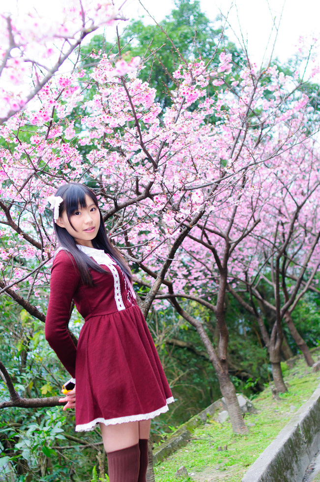 http://i.dcview.tw/gallery/201403/4132e5001fd2cc7dbfa62fad81f30418.jpg