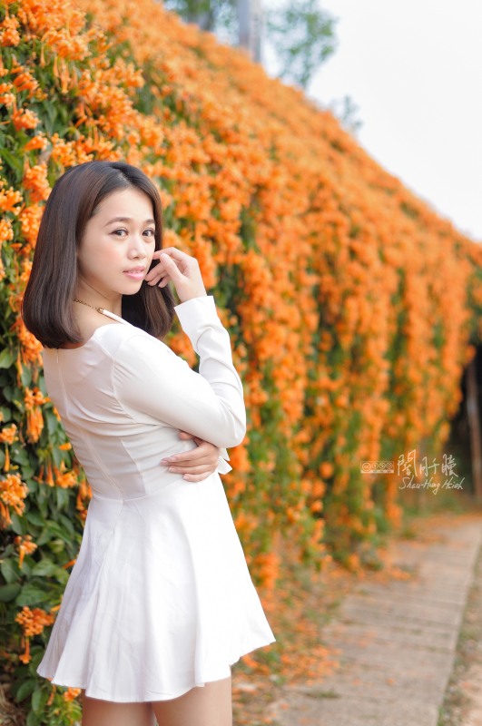 http://i.dcview.tw/gallery/201403/42d2faa06daf5d49923fd38380be00c8.jpg