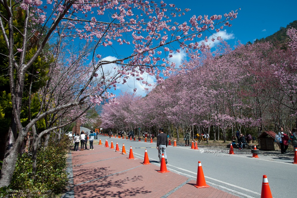 http://i.dcview.tw/gallery/201403/44ae48d498a28beb8d7a49327b7ec7af.jpg