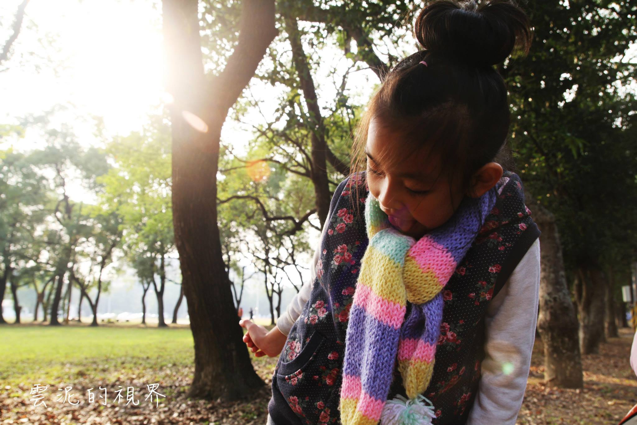 http://i.dcview.tw/gallery/201403/531f74cef005393dfbd18d3f54afb214.jpg