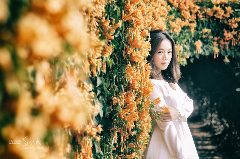 http://i.dcview.tw/gallery/201403/5cde7487a1282e6255450fd3bf713e6b.jpg