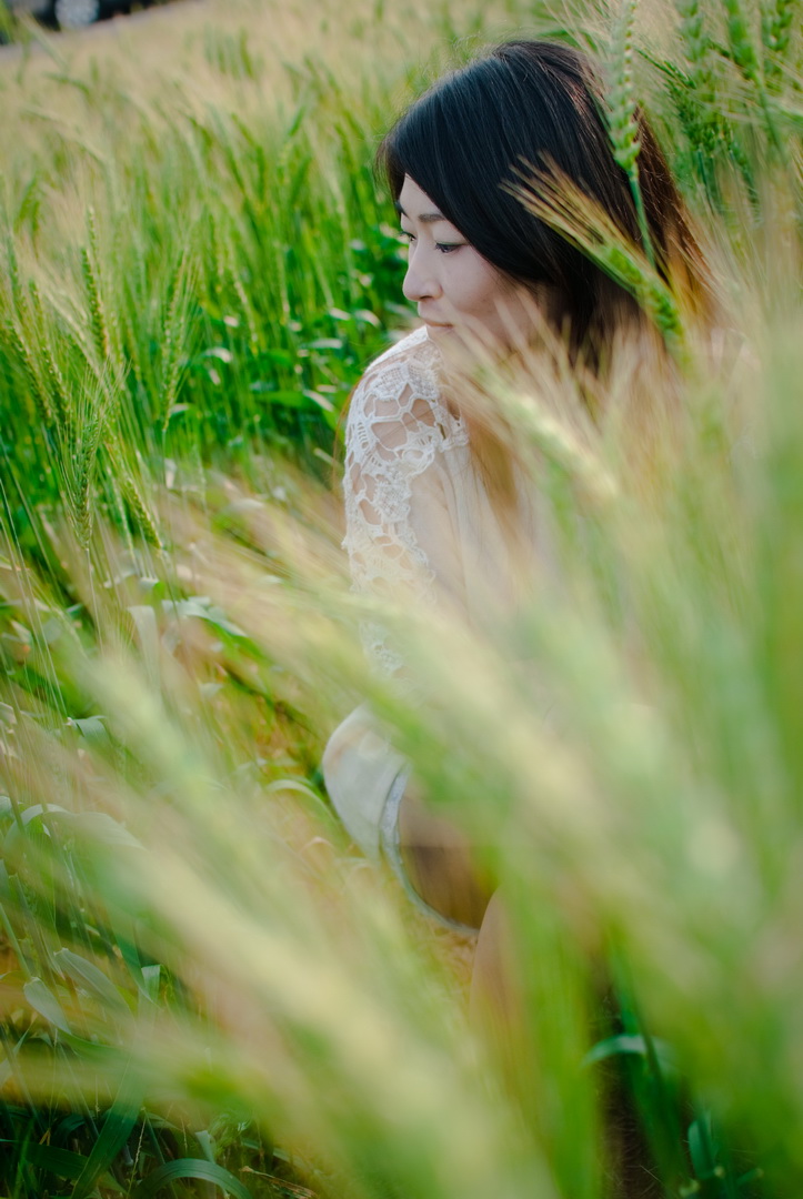 http://i.dcview.tw/gallery/201403/5f2724041fa1c308ab6ffd27ebe0afdc.jpg