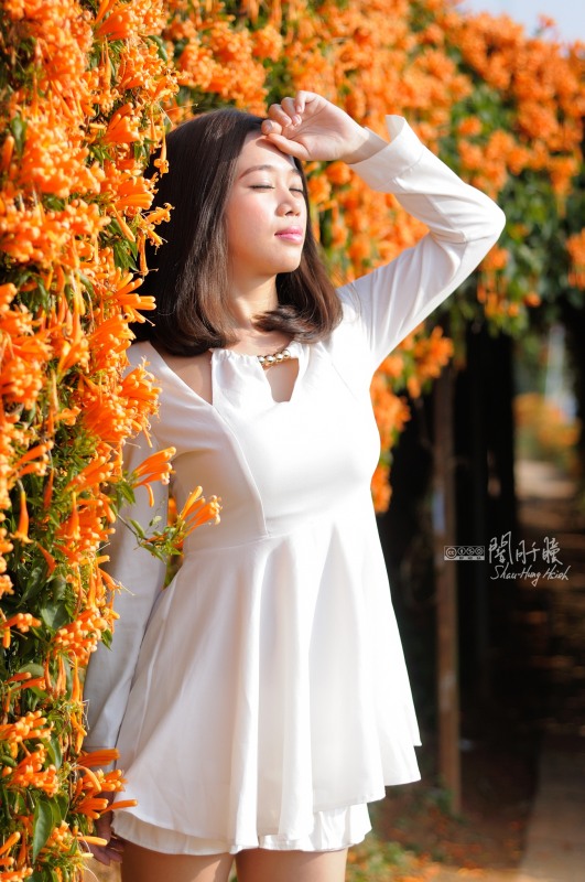 http://i.dcview.tw/gallery/201403/636d3457021ac370df589aa0d81e8215.jpg