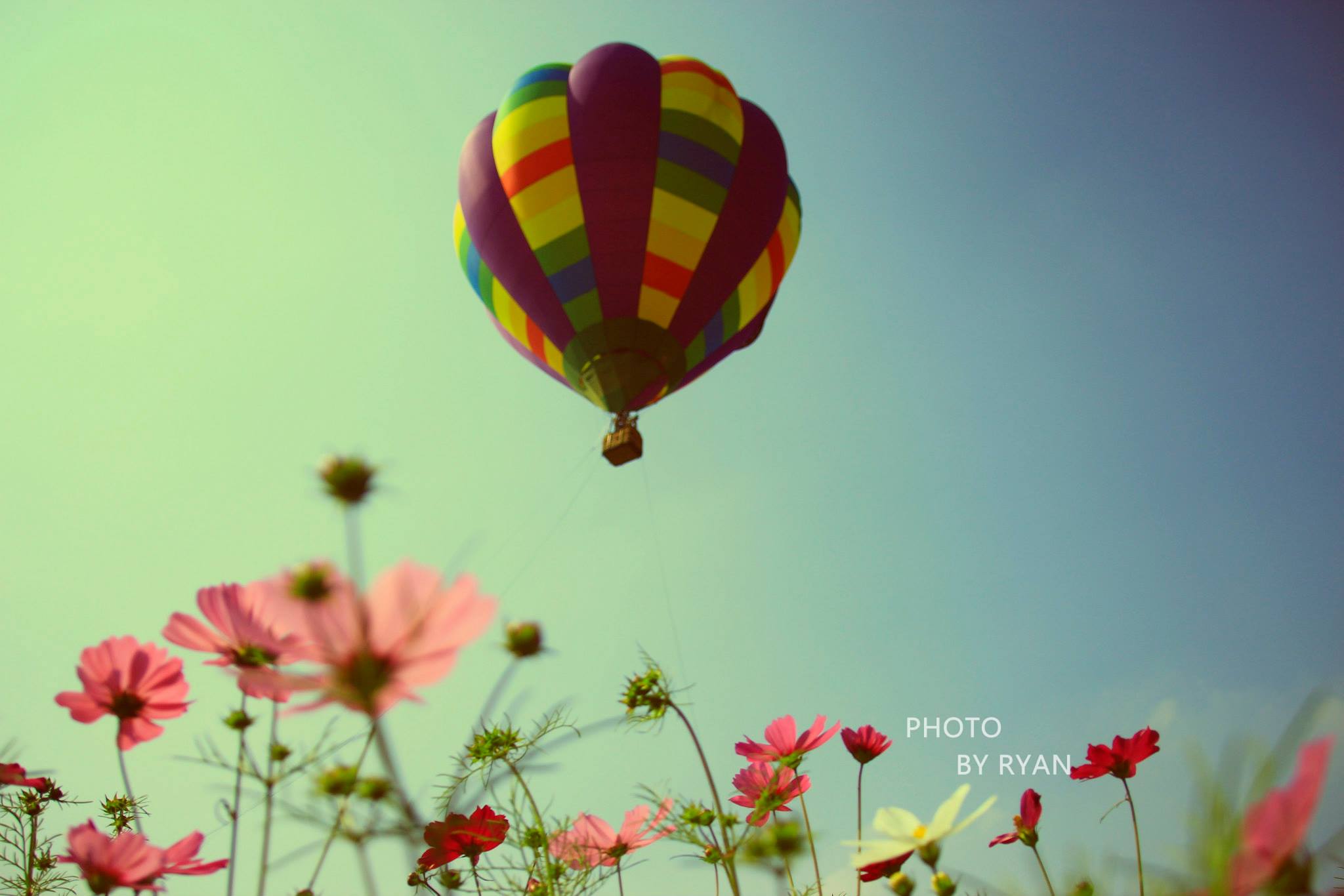 http://i.dcview.tw/gallery/201403/6601dea095811ad1ea57f8b00c9fef34.jpg
