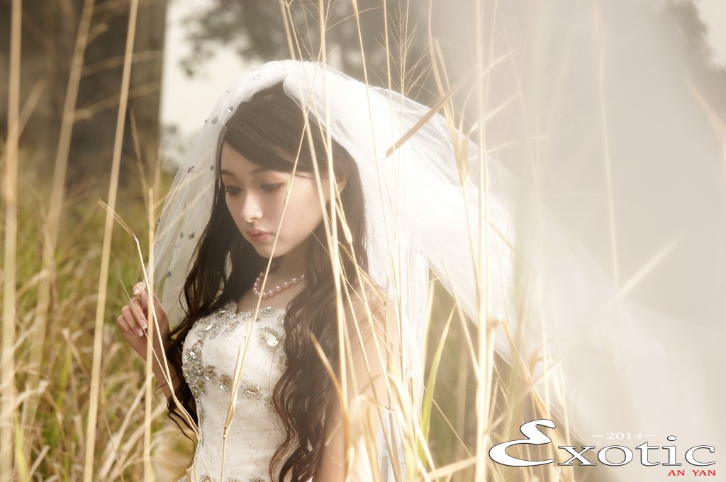 http://i.dcview.tw/gallery/201403/6f9f3d943d22d6156ecda96a683a363c.jpg