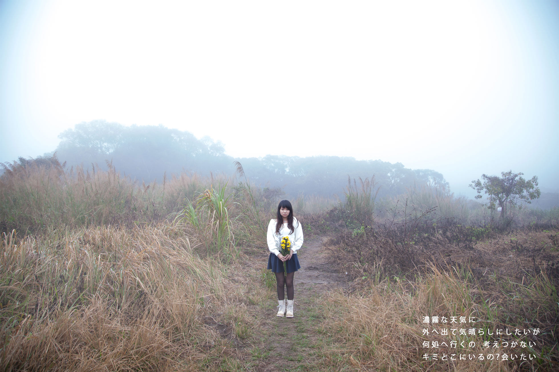 http://i.dcview.tw/gallery/201403/76917ba99b3346b7458bf7052316694f.jpg