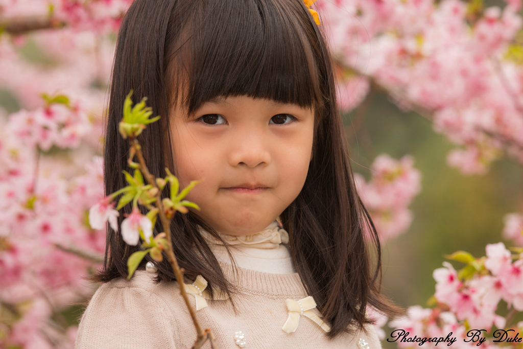 http://i.dcview.tw/gallery/201403/8a6d159da2fd05509315bf7b7e169806.jpg