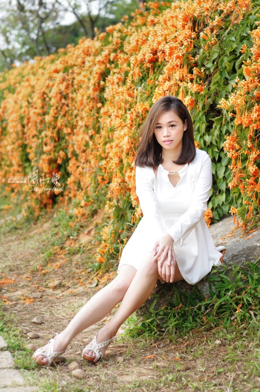 http://i.dcview.tw/gallery/201403/9954c4fbb70d8b115eca5a14f7839d26.jpg
