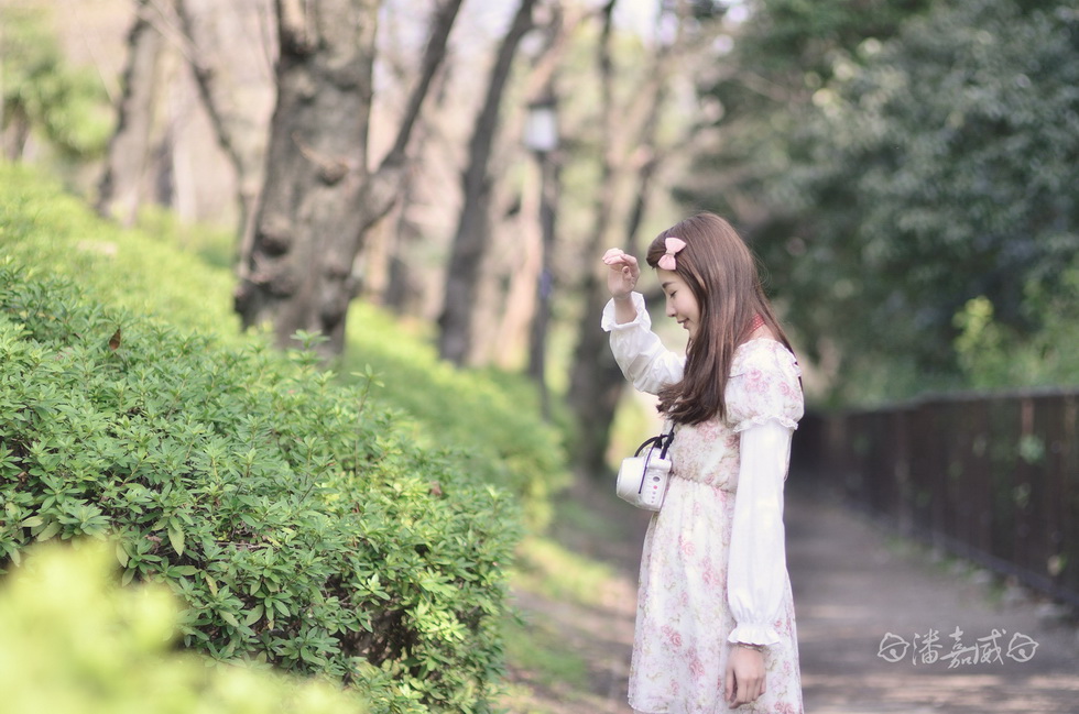 http://i.dcview.tw/gallery/201403/9c1f3174d62efa65f8083efbc1c511a0.jpg