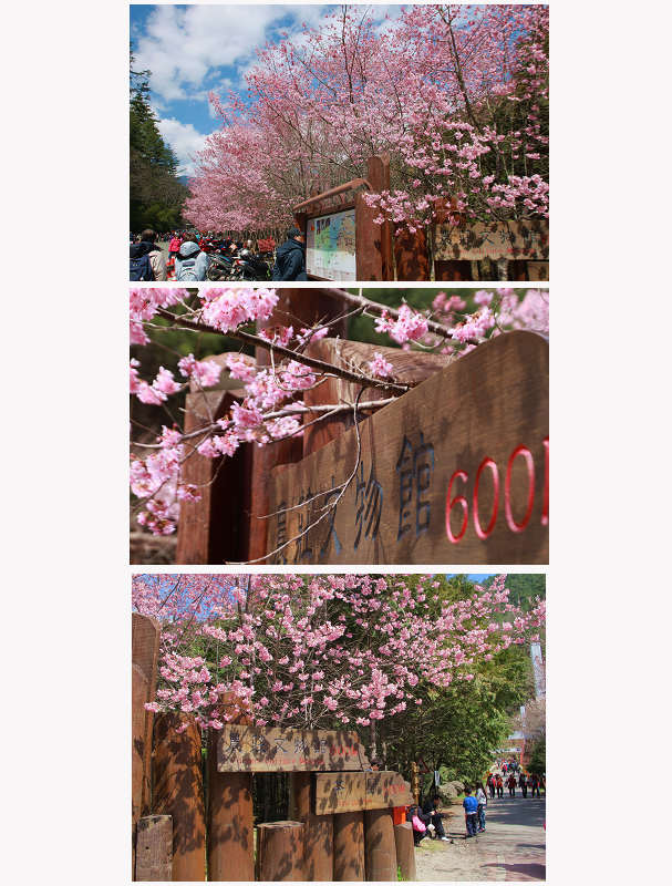 http://i.dcview.tw/gallery/201403/a19bacf2bb7c327297f31750189dc57e.jpg
