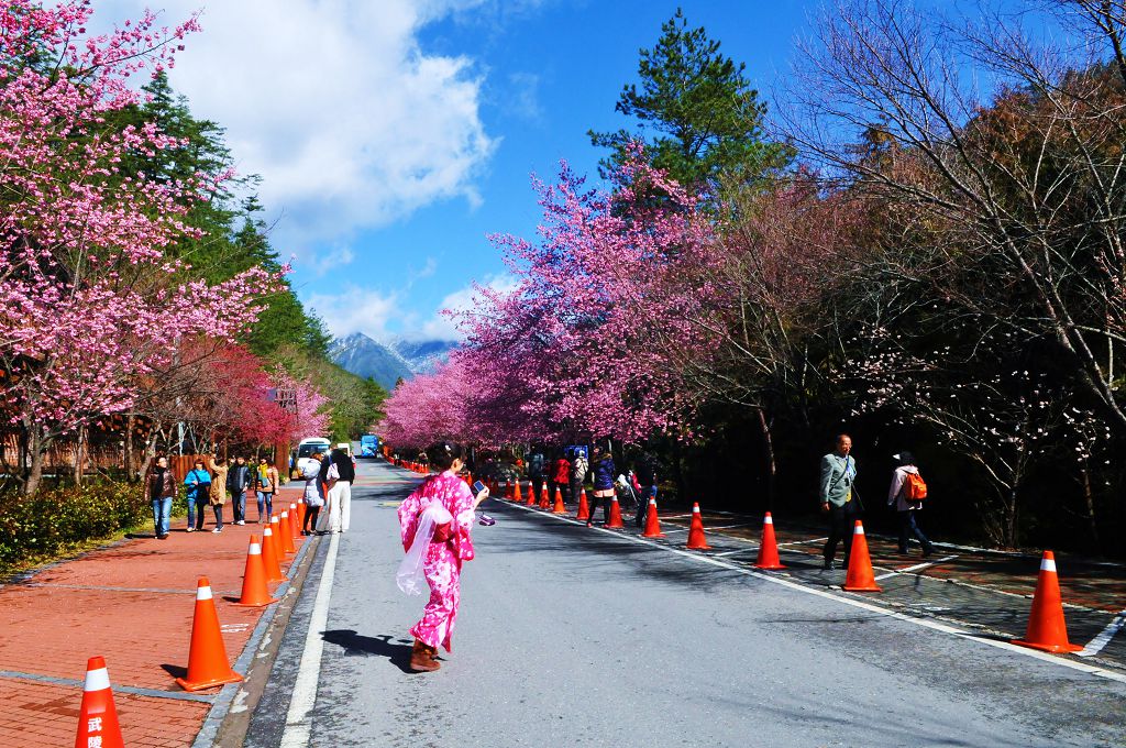 http://i.dcview.tw/gallery/201403/a76a1c0a37009d31b05fe71c629b8367.jpg