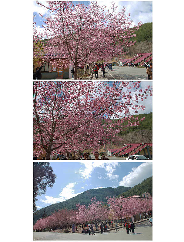 http://i.dcview.tw/gallery/201403/a9ee70adfabe73a64ff5f3cfcabefa44.jpg