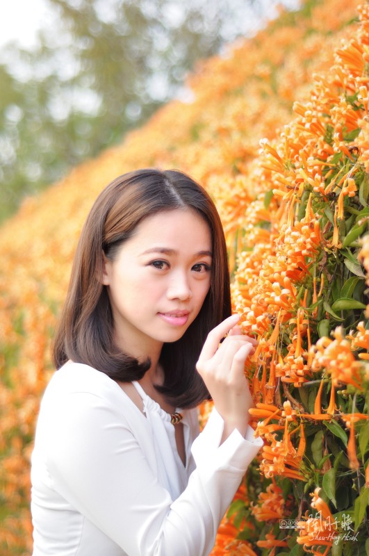 http://i.dcview.tw/gallery/201403/ae42759c9388961ddaa5c23d4676b186.jpg
