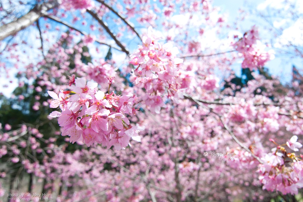 http://i.dcview.tw/gallery/201403/b0b20e2508ba1f1679ccb6800b468965.jpg