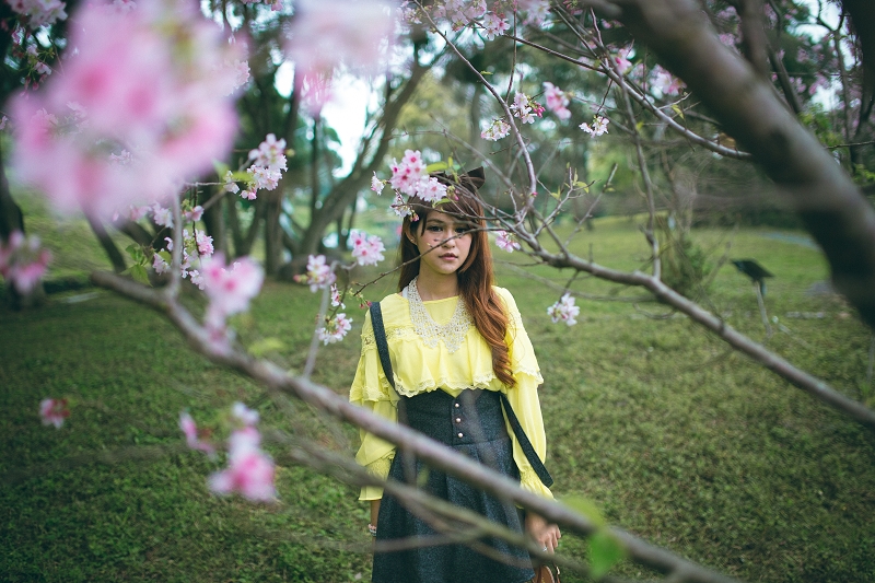 http://i.dcview.tw/gallery/201403/b0e1a754c2a02131df15502376a20147.jpg