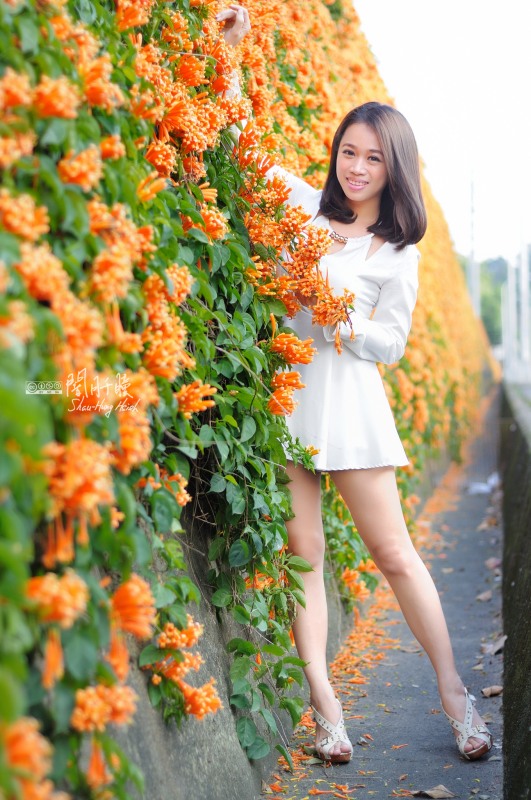 http://i.dcview.tw/gallery/201403/b12b992637cf3e91c450042e1ffec2a8.jpg