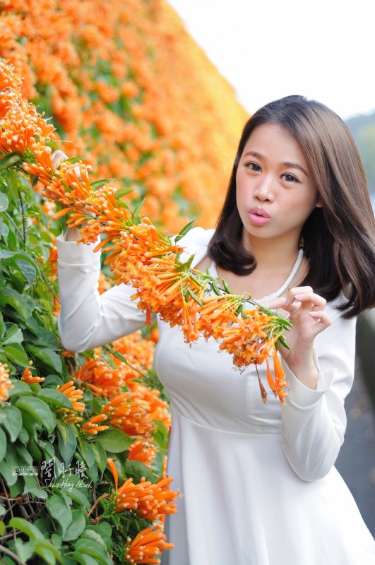 http://i.dcview.tw/gallery/201403/cc001a26bd61598eb3ea4f4873ff65d9.jpg