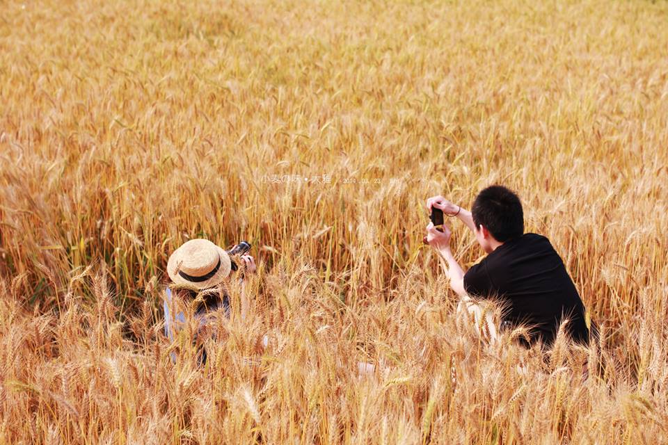 http://i.dcview.tw/gallery/201403/d188d8ae3e0a924f60f15f45efaaed10.jpg