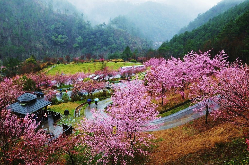 http://i.dcview.tw/gallery/201403/d6aaf7d89862d65bdfb046194981ee6f.jpg