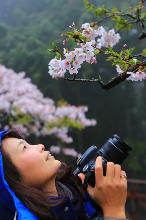http://i.dcview.tw/gallery/201403/d9d10ed60fccfe0396c113db459c2785.jpg