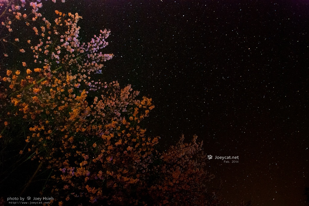 http://i.dcview.tw/gallery/201403/d9e9ffa3d6b92ab1247fc3144c0b77aa.jpg