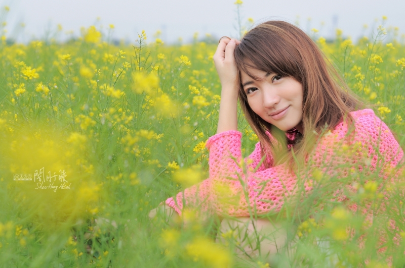 http://i.dcview.tw/gallery/201403/da4cca85bb33cfce48ec0ef92aff7eff.jpg