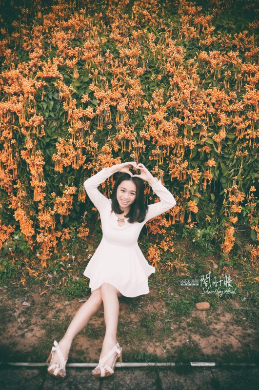 http://i.dcview.tw/gallery/201403/e155970853f88bbd5e7428292d230196.jpg