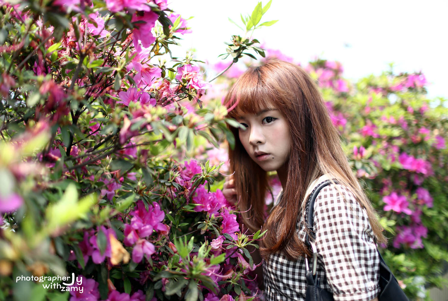 http://i.dcview.tw/gallery/201403/e1f2ebdbf8b2484f3b0b75a49ff8df7a.jpg