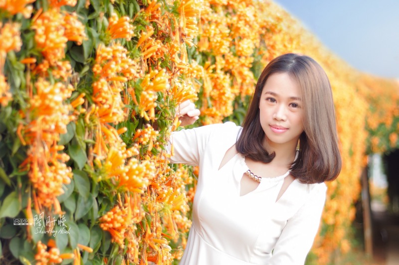http://i.dcview.tw/gallery/201403/e34065797eb1b679cb9baa07353c025a.jpg