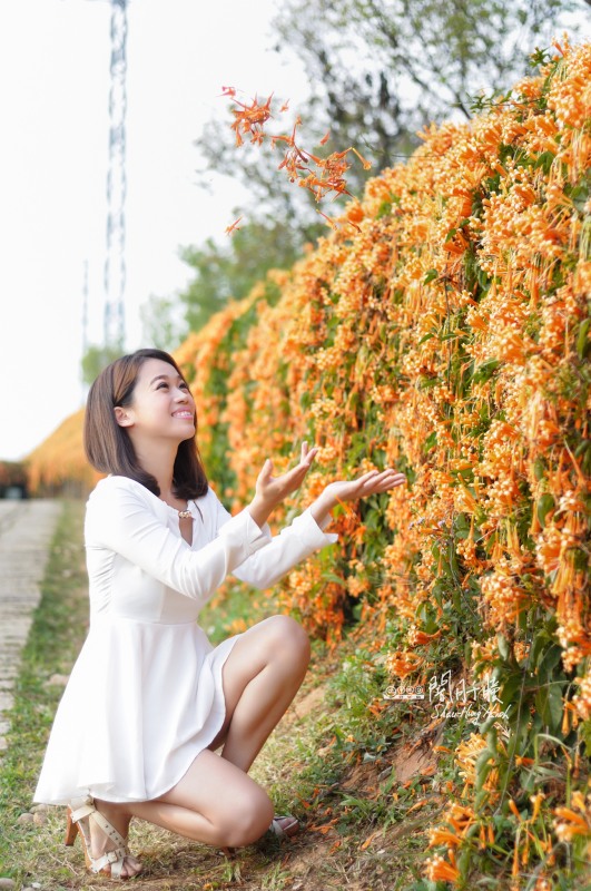 http://i.dcview.tw/gallery/201403/e5b987825ac60156a69f4985865df517.jpg