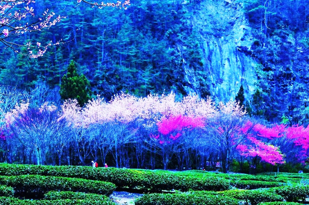 http://i.dcview.tw/gallery/201403/e8d0945f9f39e78da8b464ae97bfc18f.jpg