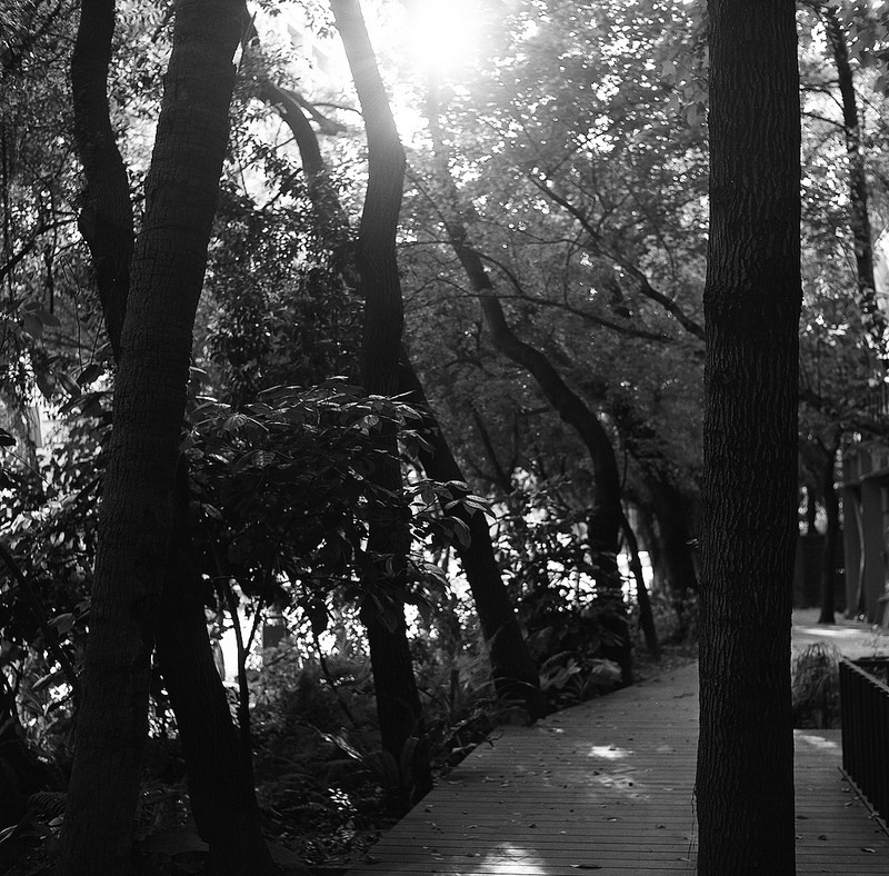 http://i.dcview.tw/gallery/201404/038af8f04b08a64e88a978f3b10a2ba6.jpg