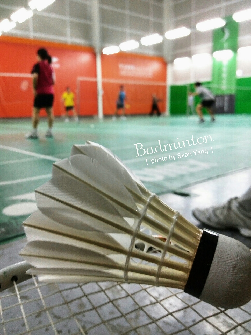 mainImg