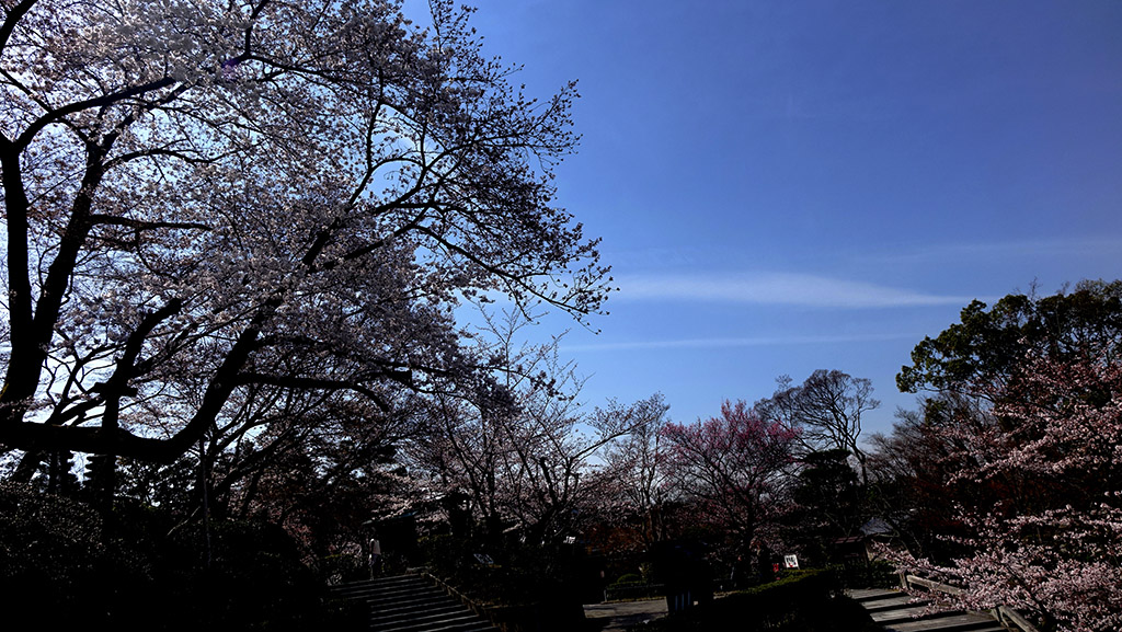 http://i.dcview.tw/gallery/201404/21c6b23374284603afcf21873c45ecd0.jpg