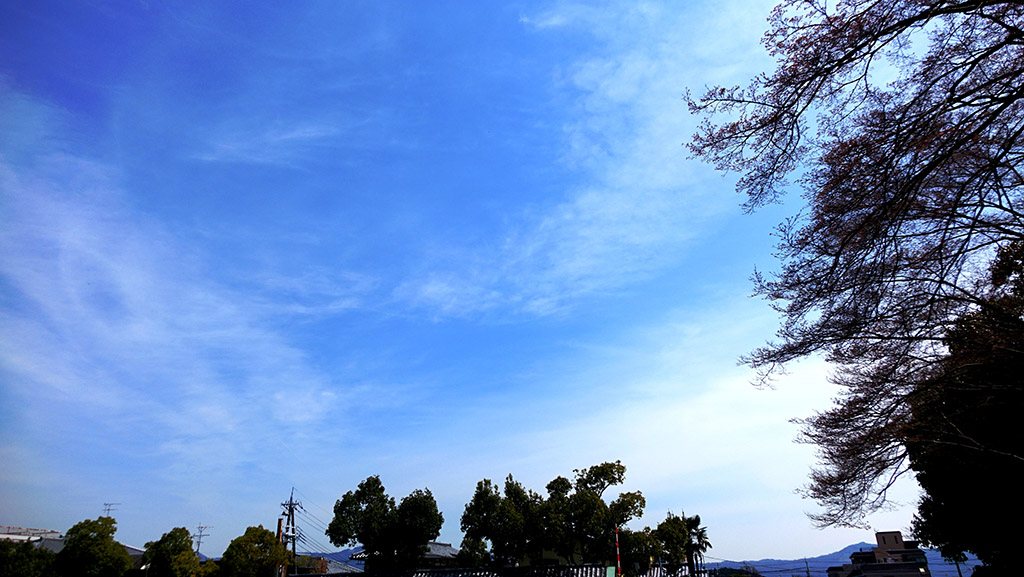 http://i.dcview.tw/gallery/201404/2c6eab8391a8b2bb6537c7e782a70090.jpg