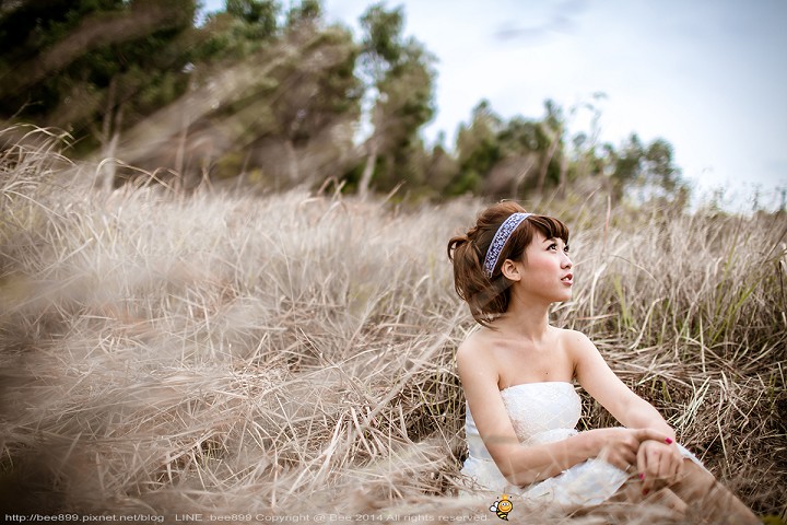 http://i.dcview.tw/gallery/201404/36ffa6018abd8609babdf697c66b1e54.jpg