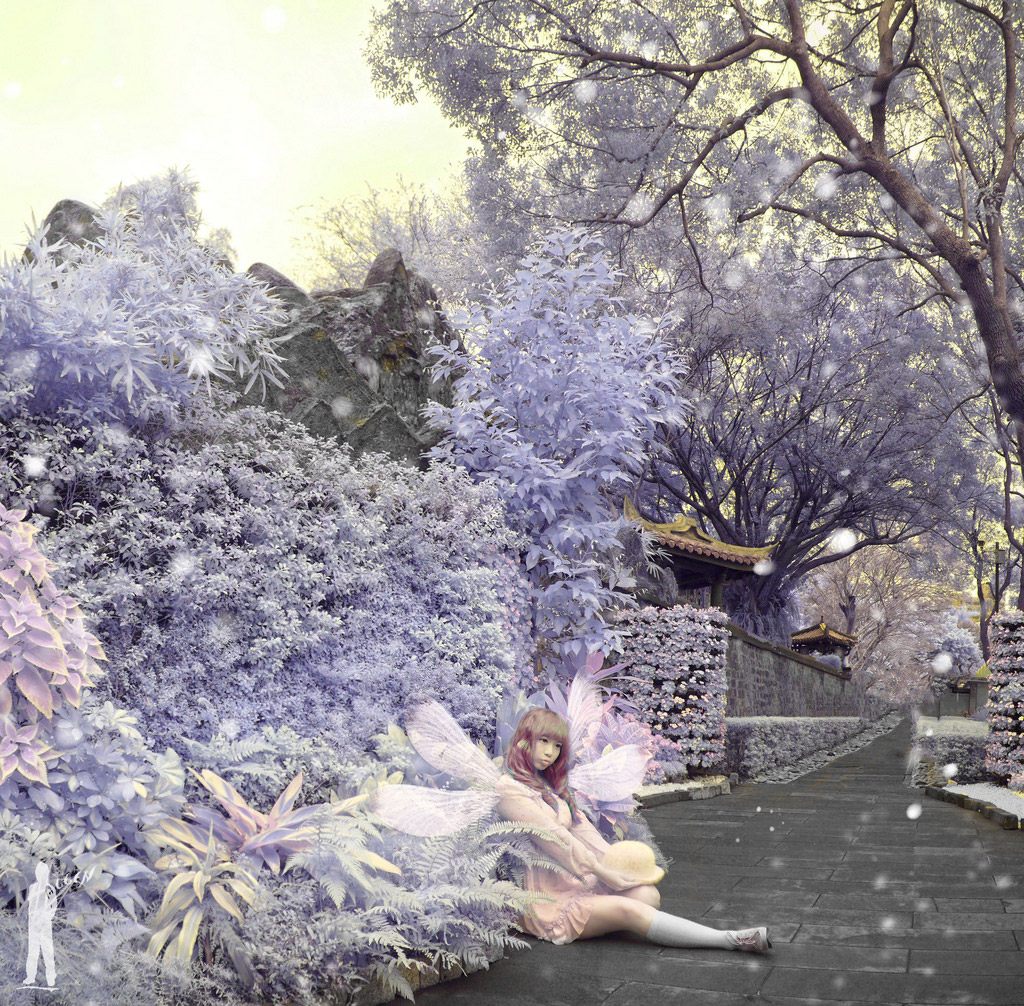 http://i.dcview.tw/gallery/201404/40977b9ac4f779c0203f9fa8a1ab31bb.jpg