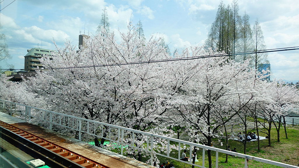 http://i.dcview.tw/gallery/201404/51ea76bfd2f3ec2e947f8109c9076551.jpg