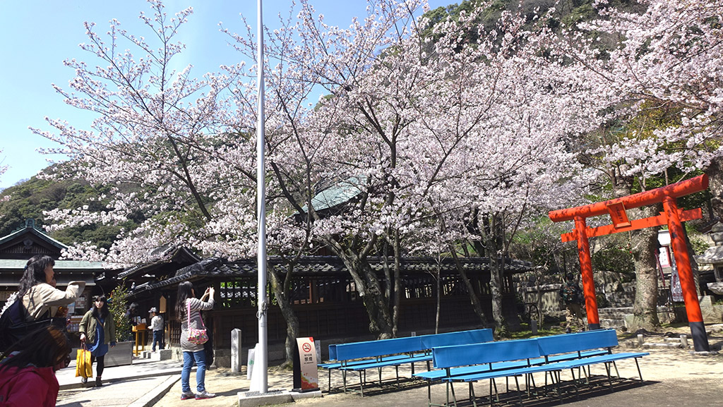 http://i.dcview.tw/gallery/201404/591f0f7441648b1da74d8b24f1a66f40.jpg