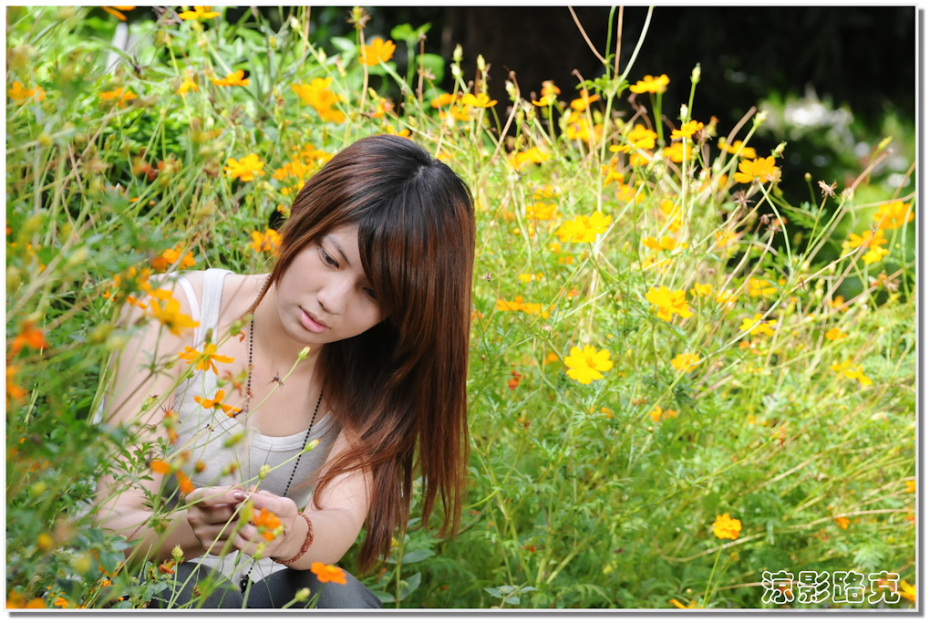http://i.dcview.tw/gallery/201404/599c046722b0d82ab0821570bc7fe955.jpg