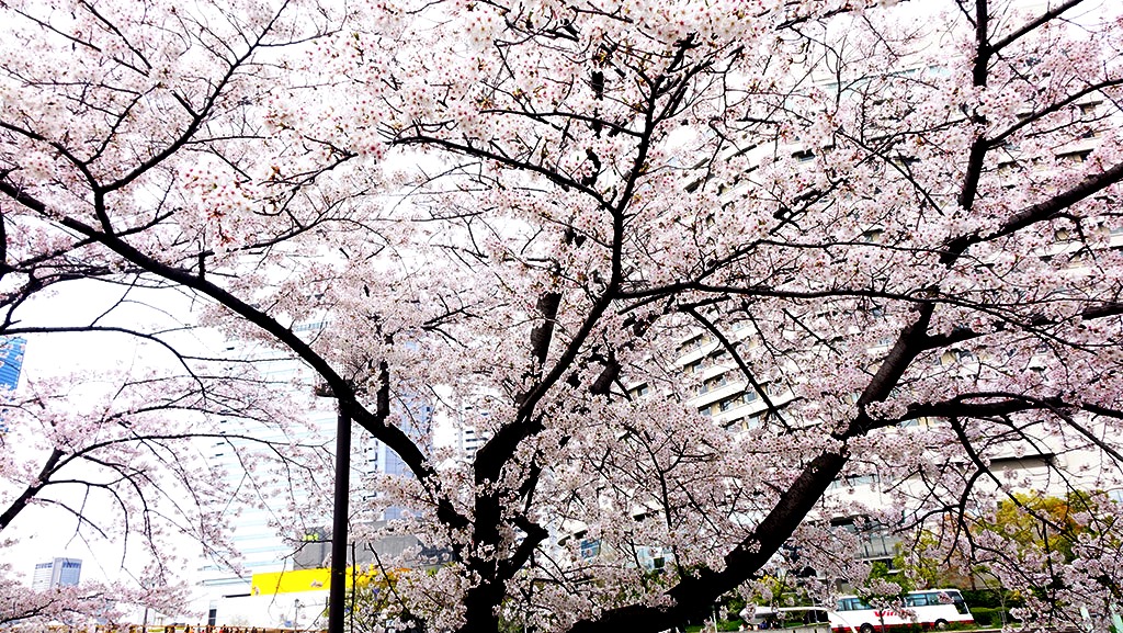 http://i.dcview.tw/gallery/201404/65bfb0698a58f4a5d01b2c2534f24462.jpg