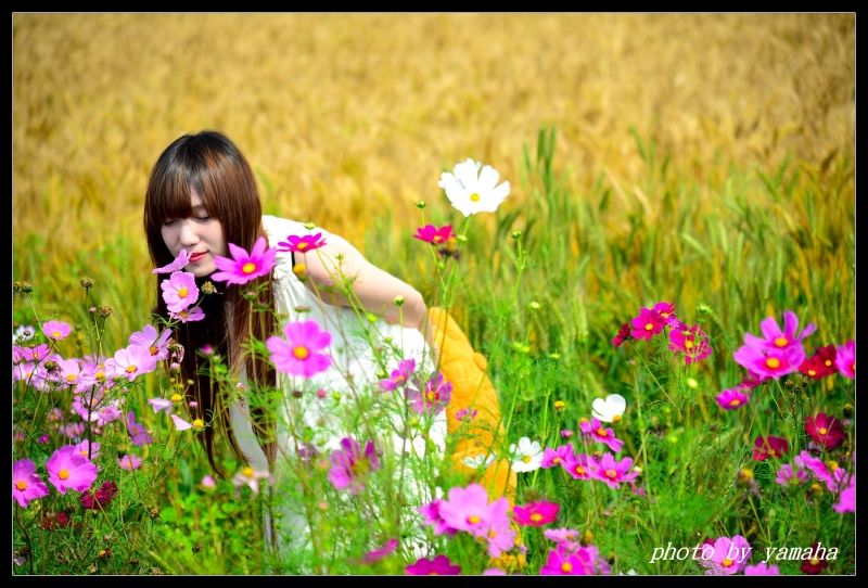 http://i.dcview.tw/gallery/201404/6edd52d40258424fdc1e96310b4284c4.jpg