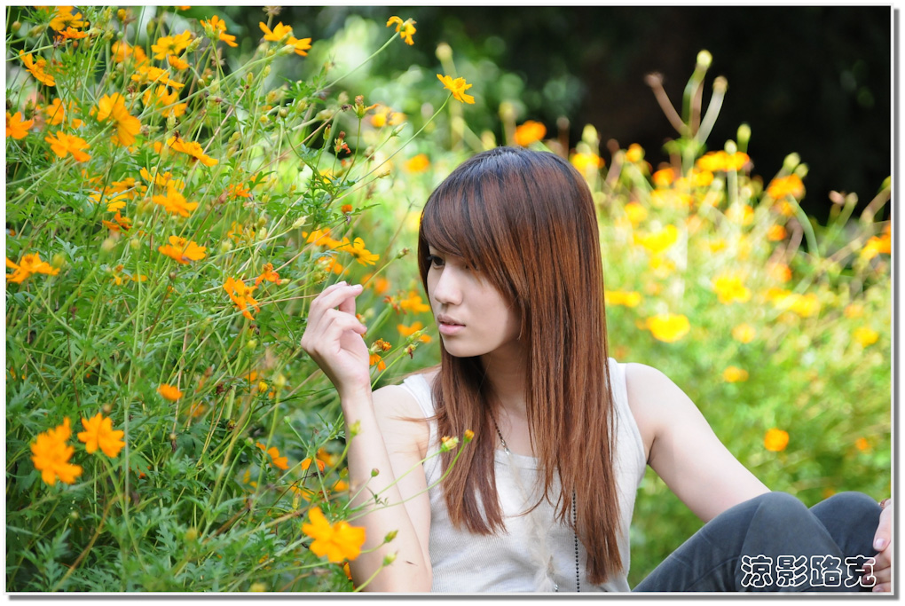 http://i.dcview.tw/gallery/201404/7bd7b11e265b903a6a6e15d0183a7365.jpg
