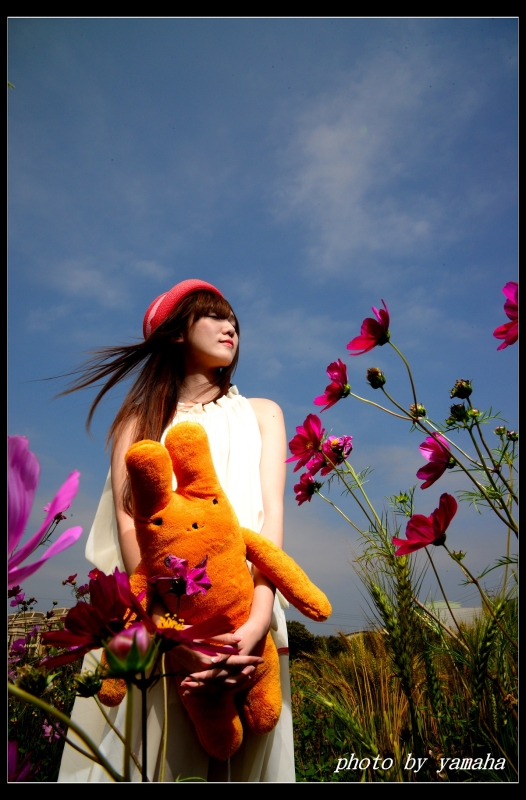http://i.dcview.tw/gallery/201404/85ed89e402fba67447b8f23e27b13951.jpg