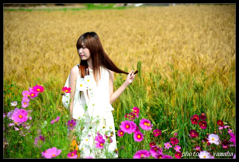 http://i.dcview.tw/gallery/201404/910739440f346ca0a9fa9cf4fc946236.jpg