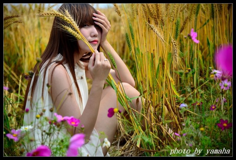 http://i.dcview.tw/gallery/201404/9827b85d2f09986965df626361212ac4.jpg